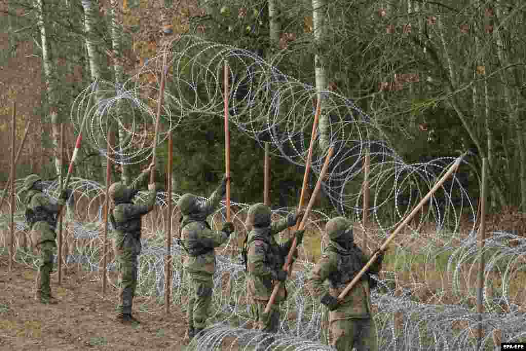 Militarii polonezi ridică colacii de sârmă ghimpată de-a lungul frontierei. În 2021, afluxul de migranți din Belarus pe teritoriul UE a dus la o criză umanitară în care 21 de migranți au murit și mai mulți polițiști de frontieră au fost răniți... 