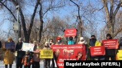 Жануарларды қорғау акциясы. Алматы, қараша айы 2020 жыл.