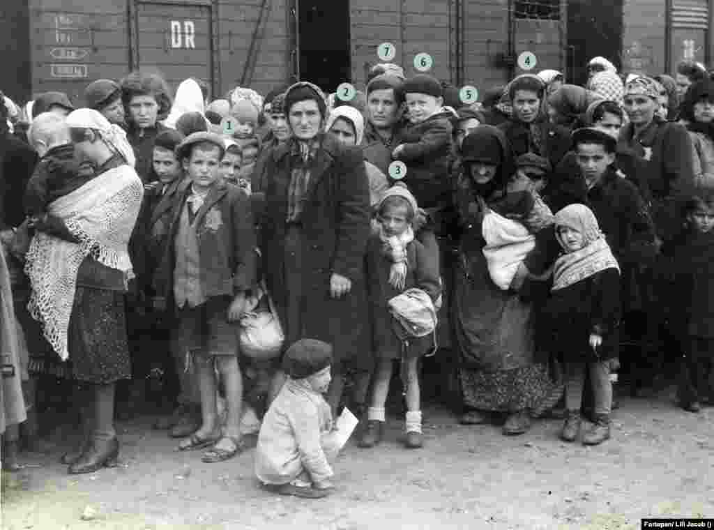 Érkezés után, 1944. május 26-án magyar zsidók a peronon, miután leszálltak a vonatról Auschwitz-Birkenauban. A Jad Vasemben azonosítottak szerint a képen látható: 1. az akkor 12 éves Klein Renee. 2. Klein Hajnal, Renee, Irén, Herczi és Lili édesanyja. Meghalt a táborban. 3. Klein Irén, hétéves. Meghalt a táborban. 4. Klein Lili, 18 éves. Túlélte. 5. Klein Herczi, 15 éves. Túlélte. 6. Berkovics Adalbert Avrom, ötéves. (Elly Gross, született Berkovics, Irén lánya). 7. Berkovics Irina, született Farkas, Adalbert édesanyja, 37 éves (Elly Gross, született Berkovics, Irén lánya)