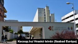 A kecskeméti kórház toplistás a császármetszéses szülések száma szempontjából