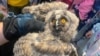 Image result for Навіцкі