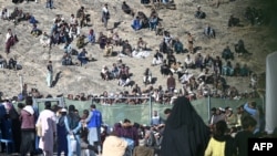 Refugjatët afganë në një kodër pranë zyrës së Organizatës Ndërkombëtare për Emigrim, duke pritur për t'u regjistruar pas kthimit nga Pakistani afër kufirit në provincën Nangarhar, 12 nëntor.