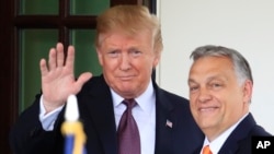 د عکس ښي لور ته د هنګري صدراعظم ویکتور اوربان او چپ لور ته د امریکا د جمهوري غوښتونکو احتمالي کاندید ډونالډ ټرمپ