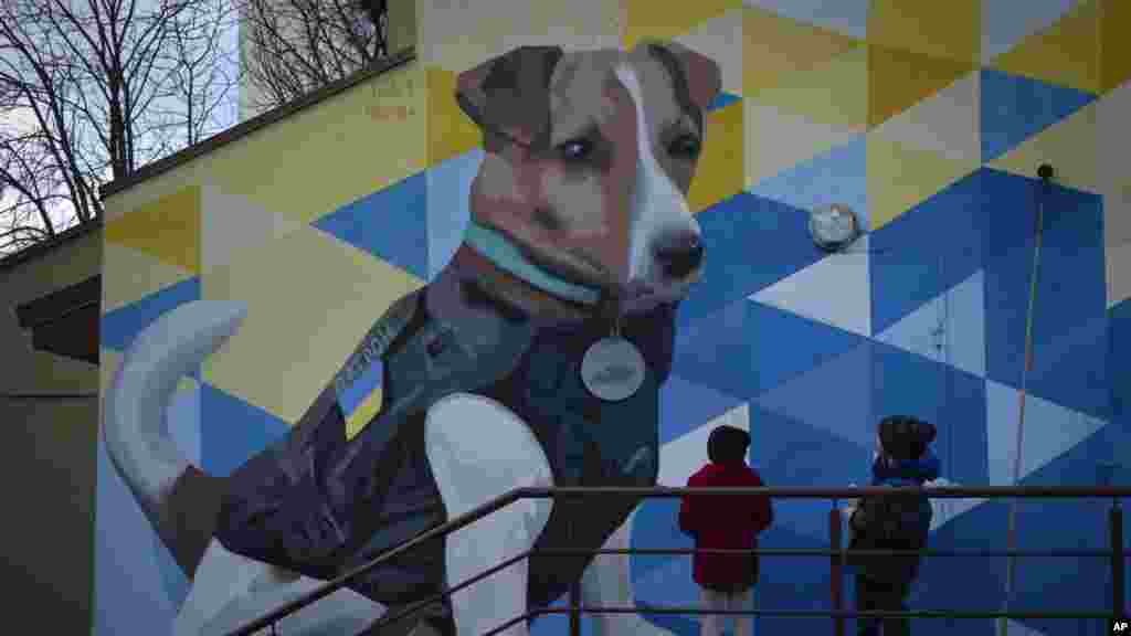 Egy másik falon egy legendás Jack Russell terrier, Patron lett megörökítve egy városi parkban. A négyéves kutya arról híres, hogy az északi Csernyihivi területen segédkezett az aknamentesítésben, majd az ukrán mentőszolgálat kabalája lett. Zelenszkij elnök állami kitüntetést adott neki, az UNICEF pedig az első jószolgálati nagyköveti kutyaként ismerte el