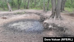 Urma adăpătoarei de odinioară, vineri, 12 august, ora 7:00