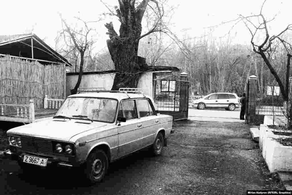Кадимки советтик "Жигули" унаасы Ош шаарында ушу күнү деле модада.