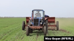 În total, potrivit notei informative a inițiativei legislative, statul va rambursa agricultorilor circa 50 de milioane de lei.