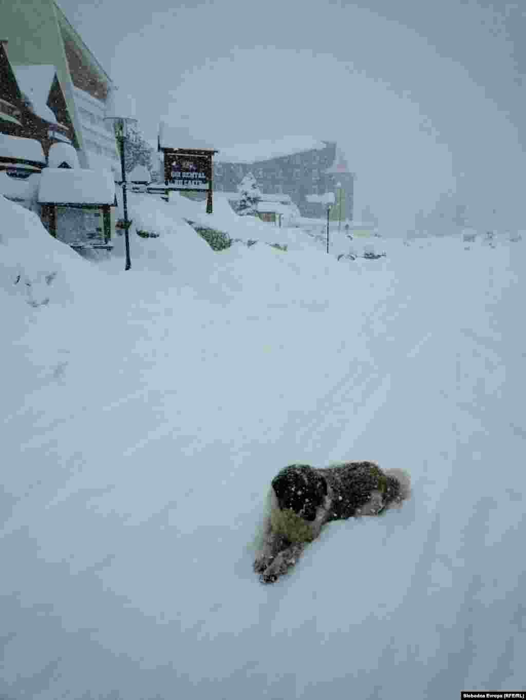 Bjelašnica