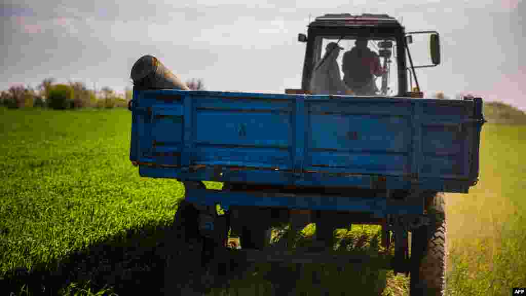 Вивезення з поля нерозірваного снаряда. Біля села Григорівка Запорізької області. 5 травня 2022 року. Виконавчий директор Всесвітньої продовольчої програми Девід Бізлі попередив: «Коли нація, яка є житницею світу, стає нацією з найдовшою чергою за хлібом у світі, ми знаємо, що маємо проблему». Він додає, що блокада Росією українського порту в Одесі є оголошенням війни глобальній продовольчій безпеці, результатом чого може стати голод, дестабілізація та масова міграція в цілому світі. Росія заявила, що зніме блокаду, якщо західні санкції проти неї будуть скасовані. Таку вимогу міністр закордонних справ України Дмитро Кулеба охарактеризував як «шантаж» 