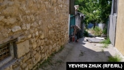 Eski evniñ saibesi ve onıñ köpekleri