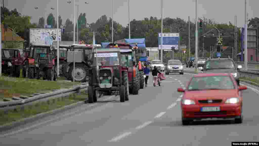 Pančevo, 29. august 2013. Foto: RSE / Vesna Anđić
