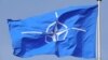 ნატოში გაწევრიანების ეკონომიკური ეფექტი