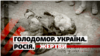 Голодомор. Яких втрат зазнала Україна і що тоді відбувалося у Росії ‒ дослідження