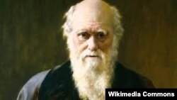 Çarlz Darwin.
