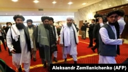 ارشیف، د طالبانو د قطر سیاسي دفتر مشر ملا برادر په مشرۍ د دغې ډلې یو شمېر چارواکي او د مرکچي پلاوي غړي
