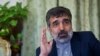  کمالوندی: برگزاری دور تازه مذاکرات ايران و آژانس سه‌شنبه در تهران