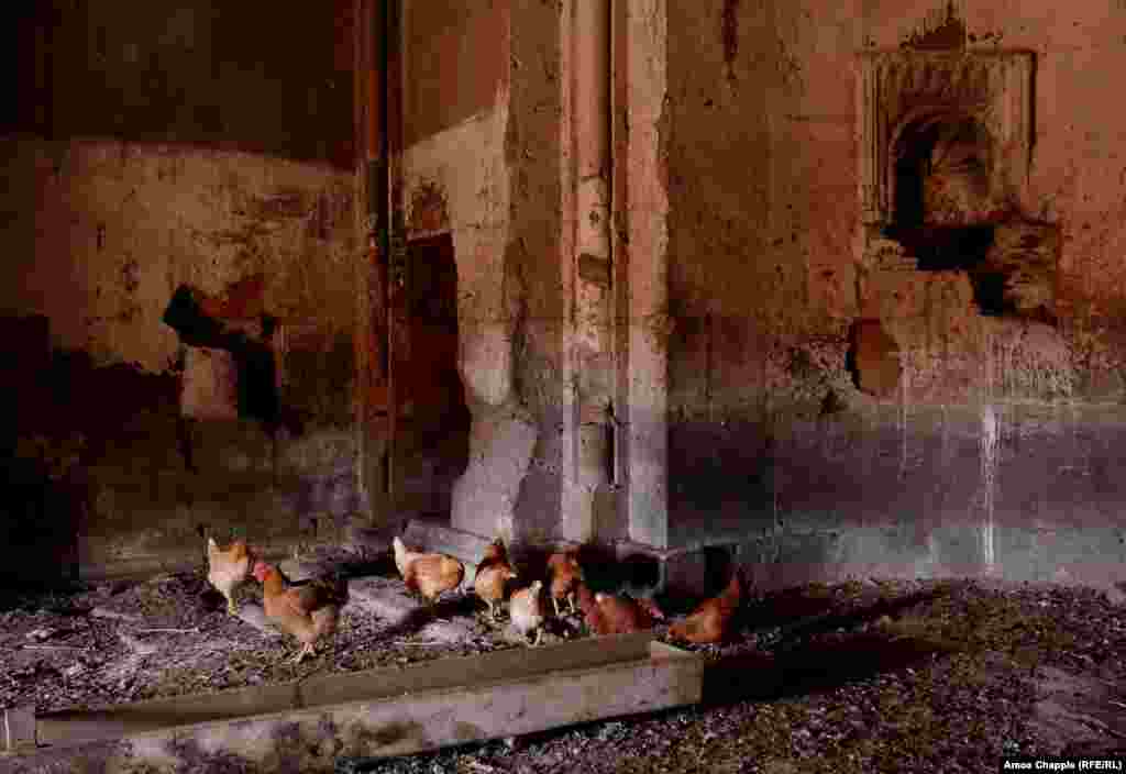 Enterijer Kizil Kilise crkve. Drevna građevina sada je dom kokoškama. Krst koji se nalazio na ulazu u crkvu je odnešen daleko. 