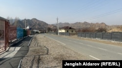 Dostluk obasy