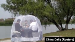 La iarbă verde într-un parct Nanjing, provincia Jiangsu , China, 24 martie 2020.