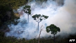 Incendiile din pădurile amazoniene