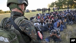 Egy csoport migránst vesznek őrizetbe a vajdasági Szabadkán, Szerbiában 2022. július 13-án