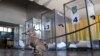 На ЦВК подають до суду через рішення закрити дільниці в Росії