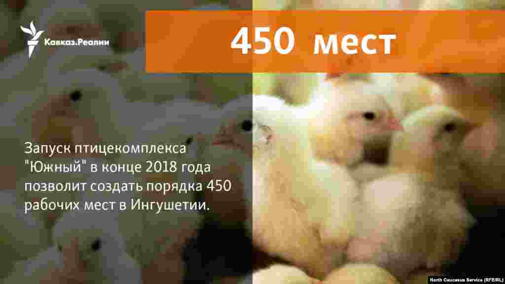 12.12.2017 // Запуск птицекомплекса "Южный" в Малгобекском районе Ингушетии по выращиванию и переработке мяса индейки позволит создать более 450 рабочих мест в республике 