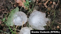 Foto: Branko Vučković