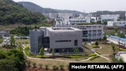 Laboratorul de Virulogie din Wuhan