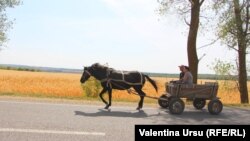 Şoldăneşti, 8 septembrie 2019
