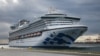 Радуцький: хворий на коронавірус українець знятий з лайнера Diamond Princess