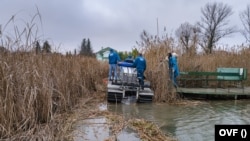 A munkához egy nádvágóval felszerelt kétéltű munkagépet is használnak. Fotó: OVF