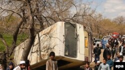 تزئیني بڼه لري ــ ارشیف