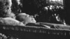 Image result for Петручэня