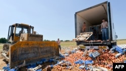 Уничтожение санкционных продуктов в России (архивное фото)