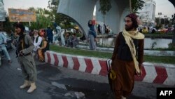 ارشیف، هرات کې یو شمېر وسلهوال طالبان