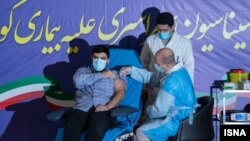 پارسا نمکی