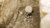 Grab - an allegedly 1800 year-old roman sarcophagus was found in Cluj-Napoca, Transylvania.
