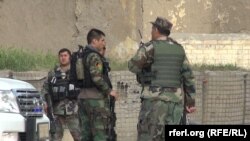 The report says 807 members of the Afghan national forces were killed against the Taliban and other militants in the first six weeks of this year.