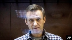 Politikani opozitar rus, Aleksei Navalny. Fotografi nga arkivi. 