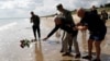 Bill Wall, veteran american din al Doilea Război Mondial, aruncă trandafiri în ocean în timpul unei ceremonii de depunere de coroane pe plaja Utah Beach - 5 iunie 2024.