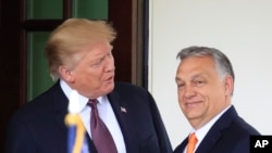 Donald Trump és Orbán Viktor 2019. május 13-án Washingtonban