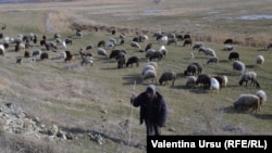 Moldova, la Glodeni