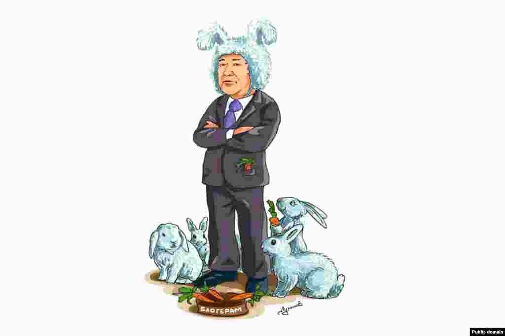 Владимир Лукашов салған карикатура twitter әлеуметтік желісінен алынды. Бұған дейін Алматыға сапармен келген ресейлік блогер Илья Варламов қаладағы өзі куә болған келеңсіз көріністердің суреттерін интернеттегі жеке блогында жарялап, қазақстандық әріптестерін "іш пыстырар" сұрақтар ғана қоятын "қояндарға" теңеген еді. 5 ақпан күні Алматы әкімі Ахметжан Есімов қаладағы қымбат мейрамханалардың біріне арнайы тізім бойынша шақырылған жергілікті блогерлермен кездесу өткізді.
