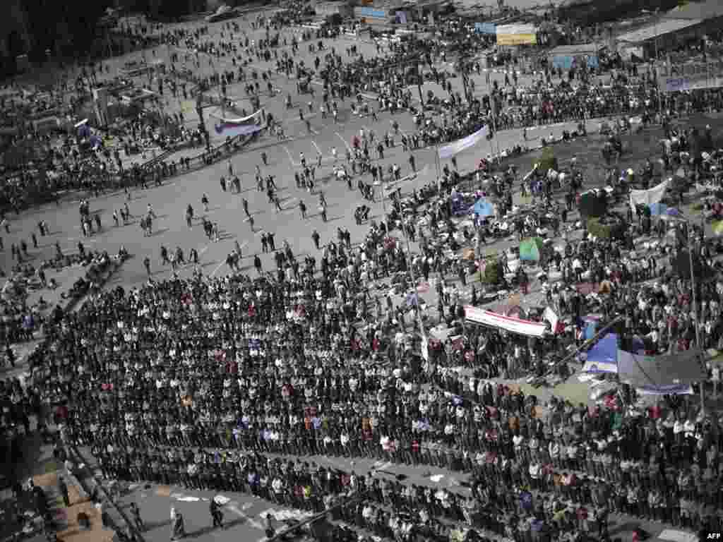 Kairo, 03.02.2011. Foto: AFP / Marco Longari