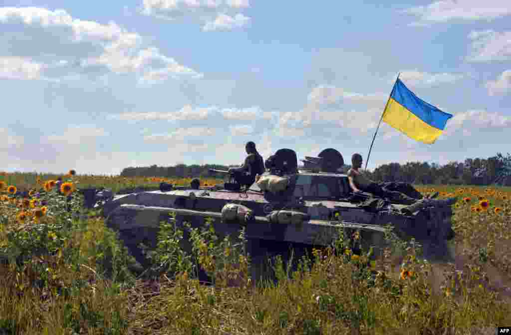 Український бронетранспортер на околицях міста Миколаївка, що неподалік Слов'янська, 5 липня 2014 року