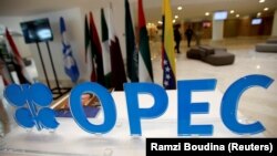 اعضای اوپک نوامبر سال گذشته توافق کردند که تولید خود را طی نیمه اول سال روزانه ۱٫۲ میلیون بشکه کاهش دهند.