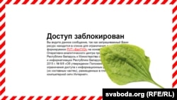 Ілюстрацыйнае фота. Старонка заблякаванага ў Беларусі інтэрнэт-сайту 