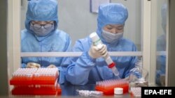 پژوهشها بر ویروس کرونای تازه، مبدا آن، و واکسن برای مقابله با آن ادامه دارد
