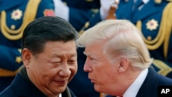 Кытайдын лидери Си Цзинпинь менен АКШнын президенти Дональд Трамп.